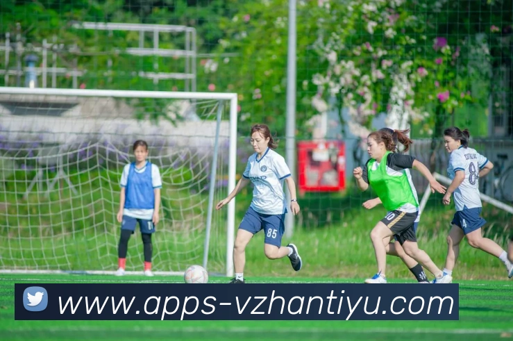 v站体育品牌故事